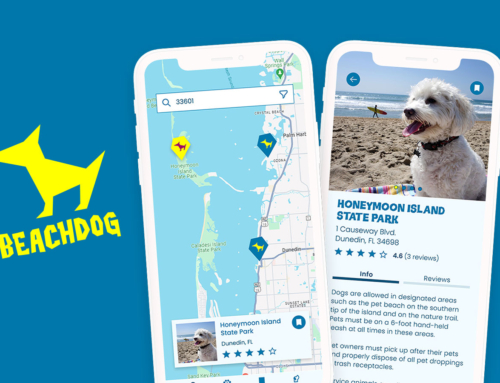 BeachDog Mobile App